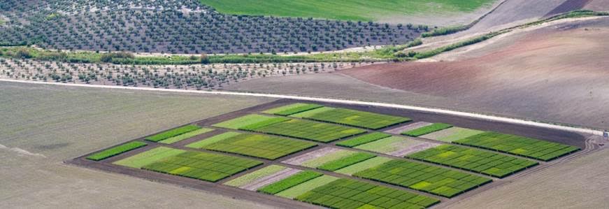 Red de Uso Eficiente del Nitrógeno en Agricultura