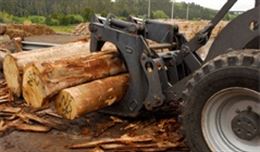 Las fábricas de Ence en Navia y Pontevedra consiguen la ecoetiqueta Nordic Swan