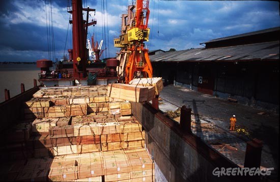 España no ha implantado la legislación para evitar la entrada de madera ilegal