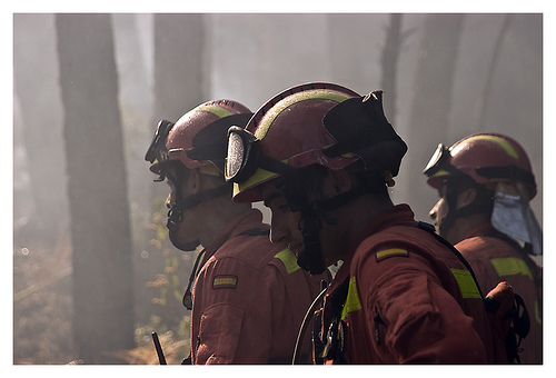 Medios estatales siguen apoyando a las Comunidades Autónomas afectadas por incendios forestales
