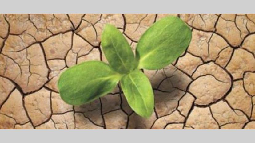 Argentina ratificó el acuerdo de París