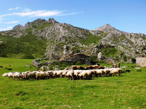 MAGRAMA quiere revitalizar las zonas rurales de montaña