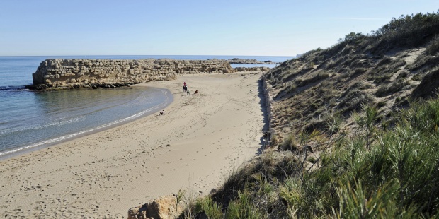 Mallorca delimita el sistema dunar de lEscala