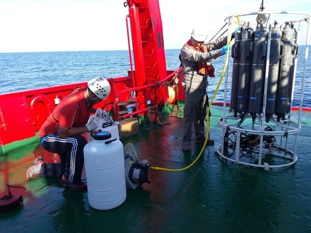 Una investigación liderada por la UA descubre los 44 virus "más abundantes" en los océanos del planeta