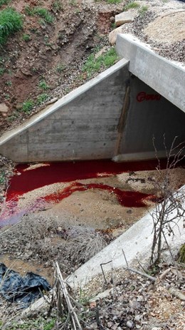 Asden alerta de vertidos sanguinolentos sobre el río Duero en Soria que "podrían proceder de industrias cárnicas"
