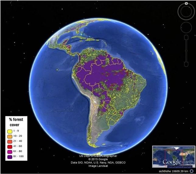 Sumando ocho fuentes de datos estos son los nuevos mapas globales de cubierta forestal versión crowdsourcing