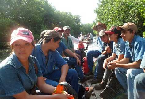 Sectores buscan proteger manglares