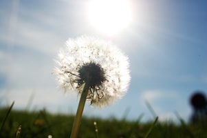 Vuelven a Gipuzkoa Las jornadas de naturaleza Naturaldia