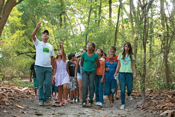La Figura del Educador Ambiental