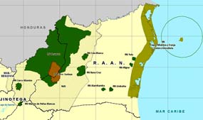 Consideran problema nacional protección de Bosawás en Nicaragua