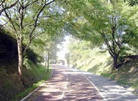 Comunidad de Madrid. El Ayuntamiento de Brunete y la Consejería de Medio Ambiente y Ordenación del Territorio apuestan por el carril bici