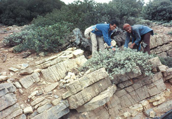 Cuál es el futuro de la Biodiversidad