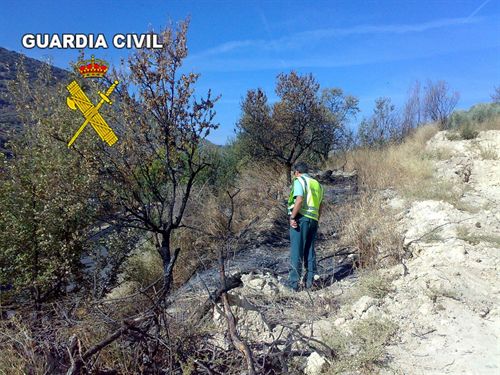 Detenido un hombre de 60 años como presunto autor de un incendio en una zona forestal de Torres (Jaén)