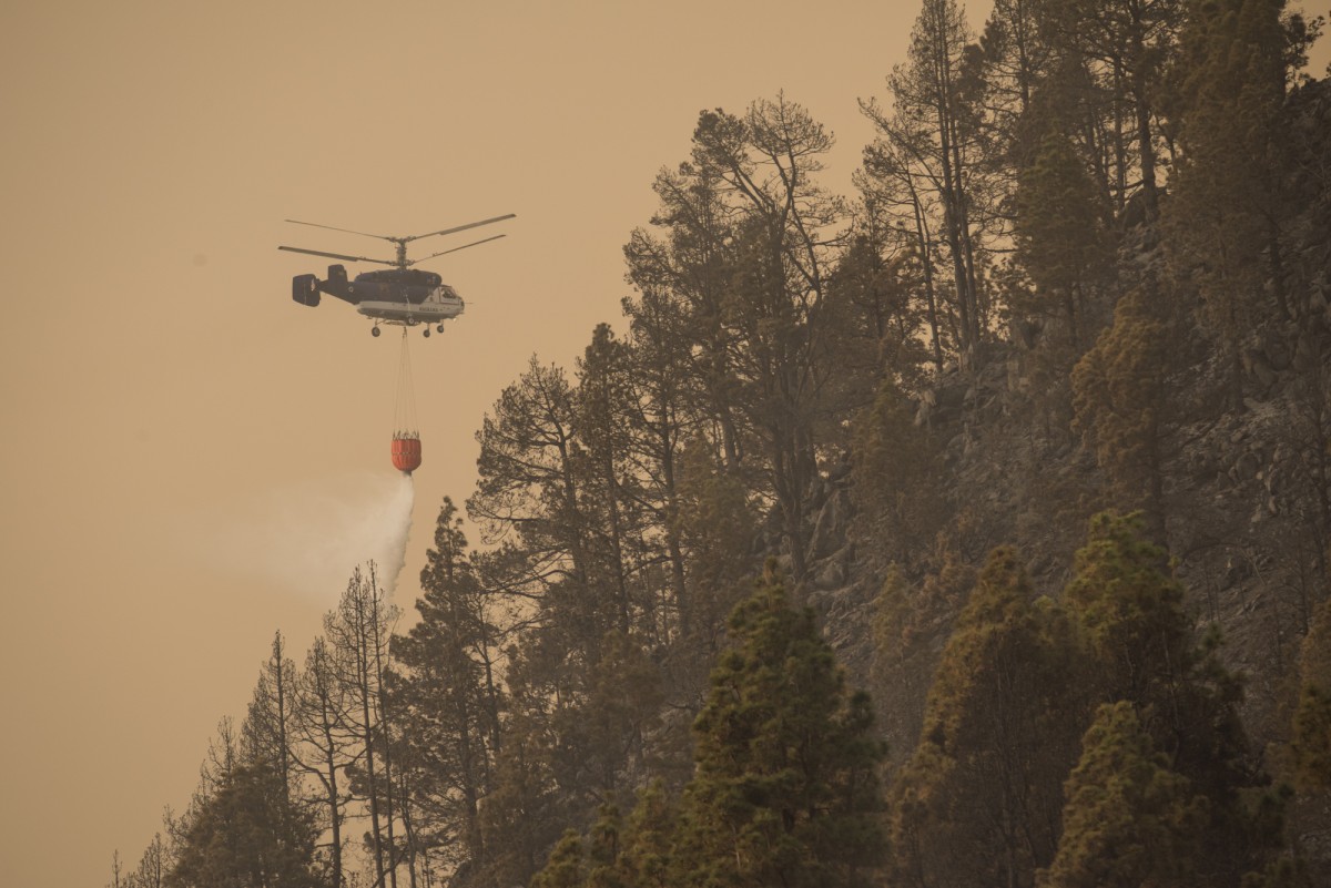 Ecologistas advierten: "España es un país inflamable"