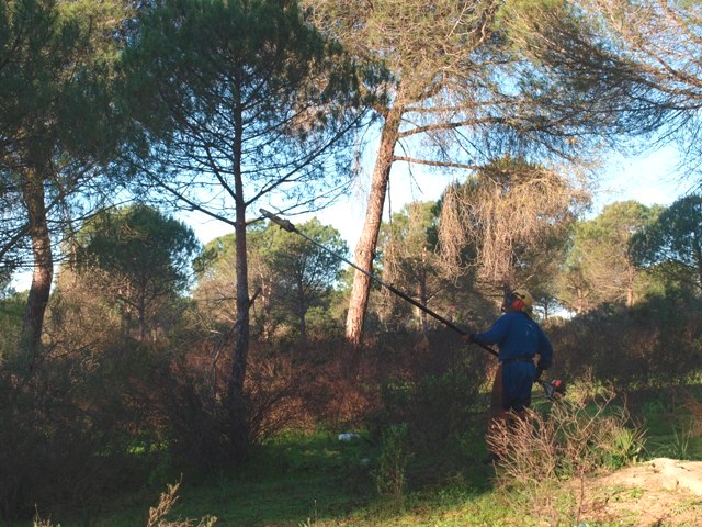Aljaraque (Huelva) ha aprobado la ampliación del espacio de la Reserva de la Biosfera a la totalidad del término municipal