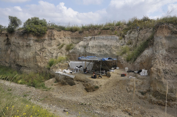 Una letrina de hienas del Pleistoceno