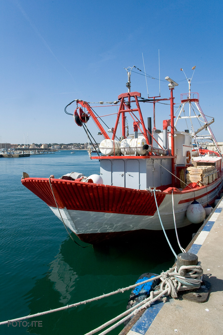 Buques pesqueros inteligentes y ecológicos