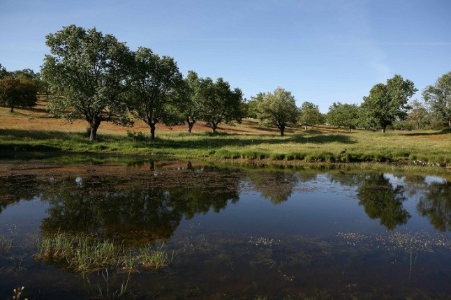 Ecologistas en Acción del País Valencià matiza su posición sobre el Anteproyecto de Espacios Naturales Protegidos