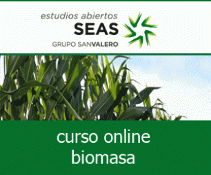 Curso de Energía de la Biomasa