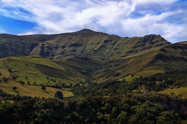 El Gobierno cántabro dice NO a la reforma de la Ley de Montes