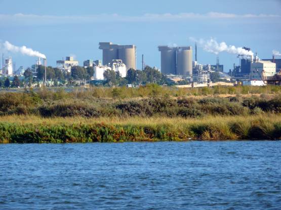 Progresivo deterioro ambiental en Huelva