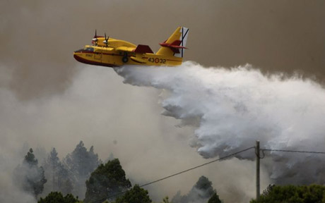 Los incendios forestales siguen ‘castigando’ áreas de gran valor natural de  Canarias