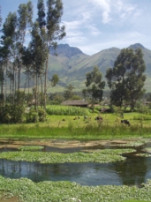 BID apoya sostenibilidad fiscal y adaptación al cambio climático en El Salvador