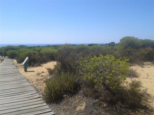 La Comisión Europea está ‘harta’ del exceso de turismo y de regadío en Doñana