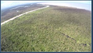 Costa Rica. Así se afectaron los humedales durante el huracán Otto