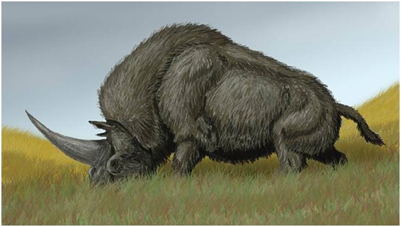 El unicornio que pudo haber convivido con los humanos