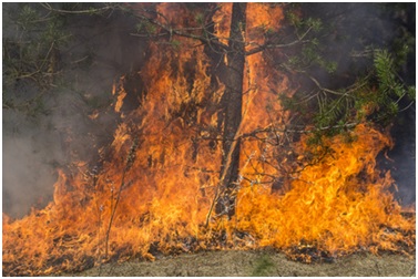 El crowdlending de ECrowd! apuesta por un entorno sostenible