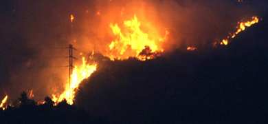 UGT denuncia la desprofesionalización del sector forestal en el uso de parados para limpiar zonas incendiadas