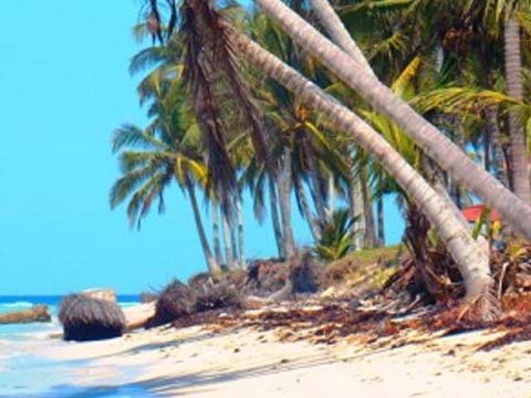 México y Estados Unidos suman esfuerzos para proteger el Golfo de México