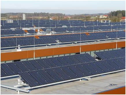 Granjas fotovoltaicas podrían producir plantas biocombustibles