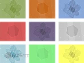 Hydrogen influences graphene growth – O.R.N.L.