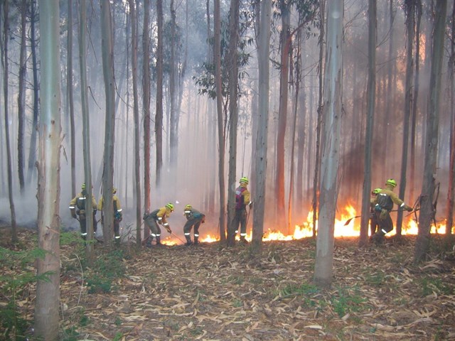 Elaborarán los futuros estatutos de bomberos y agentes forestales