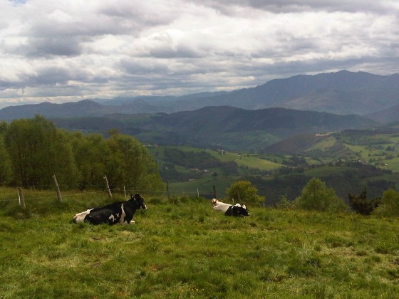 Espacios Naturales Protegidos