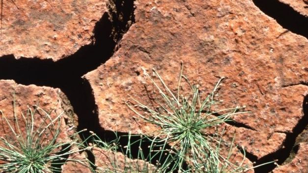 Convocada la mesa de la sequía