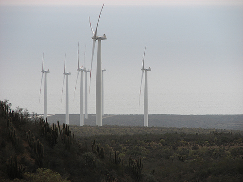 Impulso de las renovables por el Gobierno con la entrada de proyectos por más de 8.000 MW hasta 2012