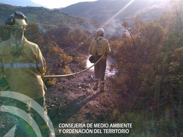 Controlado un incendio forestal en el paraje La Mina de Marbella