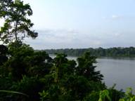 España está entre los países peor valorados de la UE en la lucha contra las talas ilegales