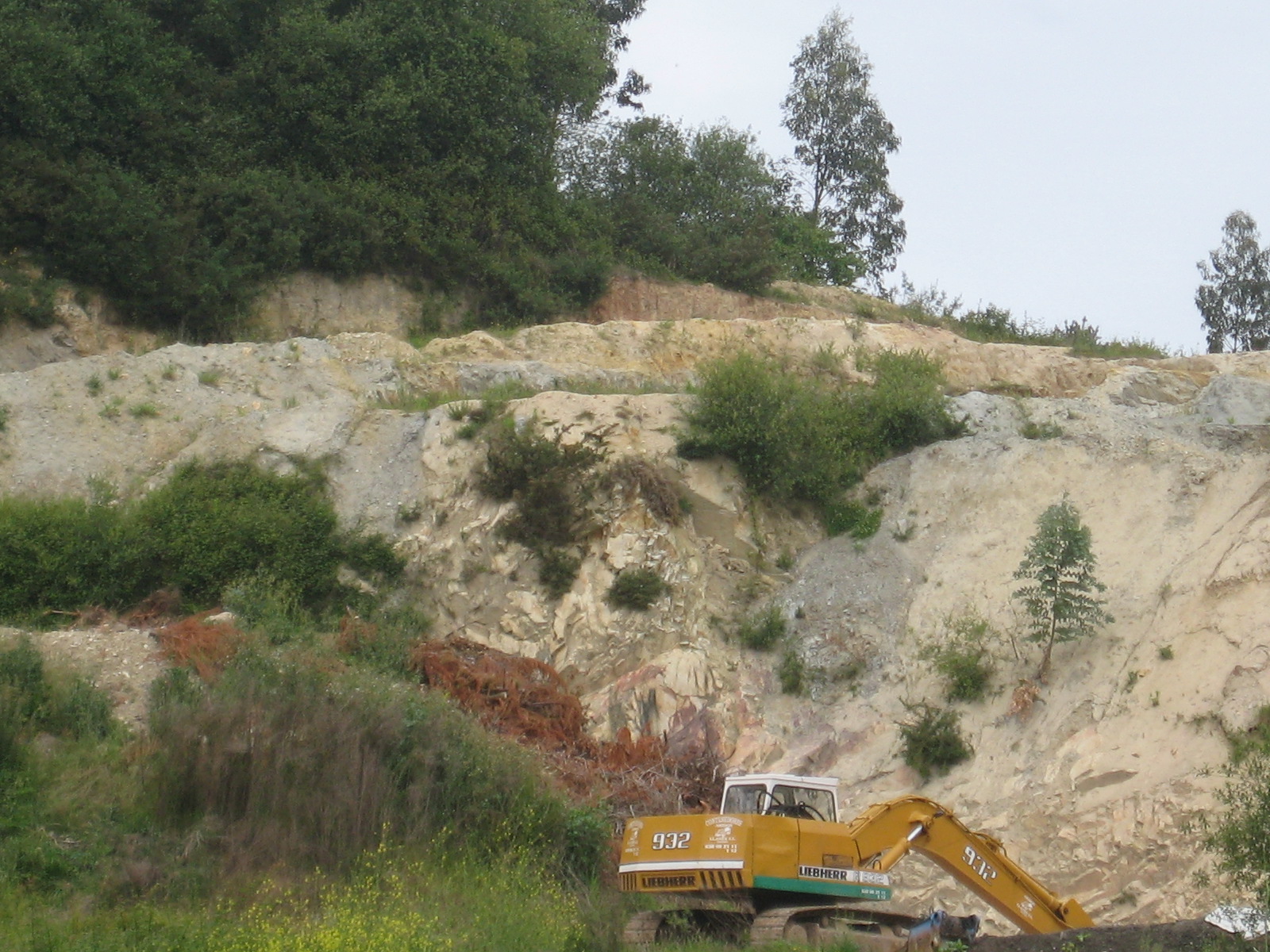 Irregularidades en la cantera de Pimiango