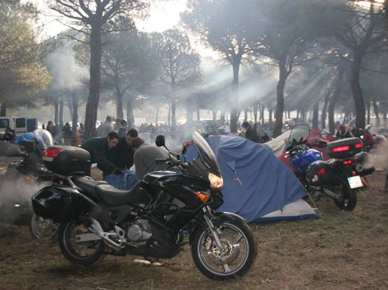 El TSJ anula la autorización de la Junta de Castilla y León para la concentración Pingüinos