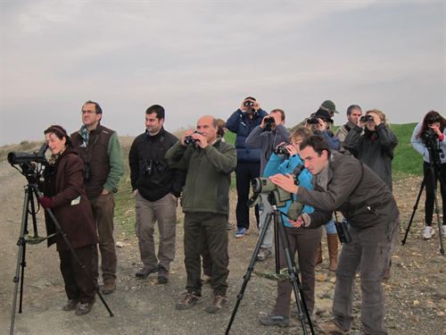 Extremadura organiza una ruta ornitológica que recorrerá los enclaves de La Roca