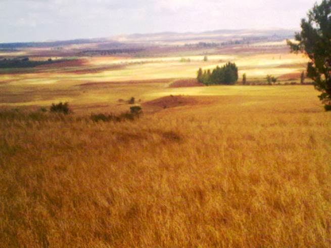 Miles de personas y 400 tractores marchan contra el proyecto de minería de tierras raras