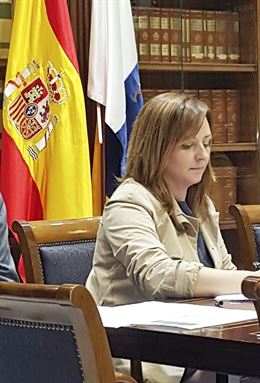 Canarias seguirá de cerca el impacto de los nuevos parques eólicos en aves y murciélagos