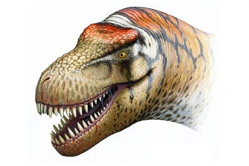 Hallan un pariente gigante del Tiranosaurus Rex