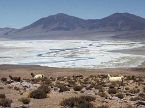 En los últimos cuatro años se han oficializado ocho áreas protegidas