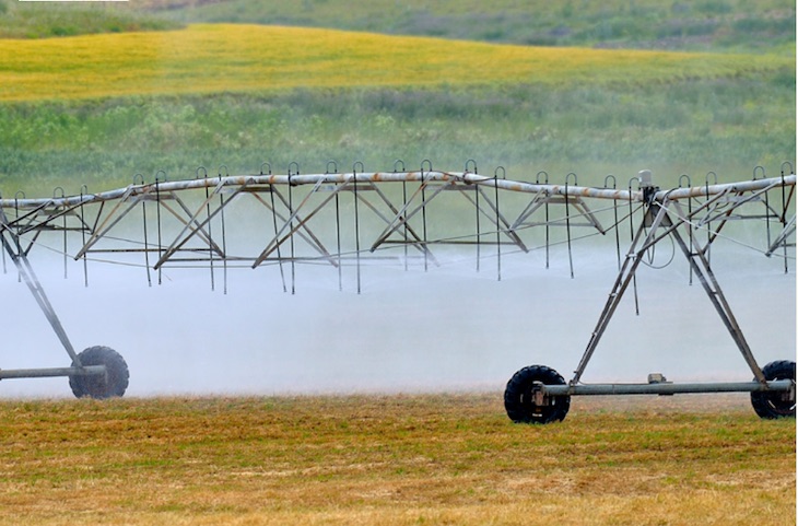 Limitar los regadíos es ‘vital’