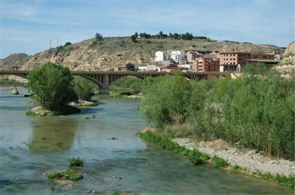 Huesca. La sauceda de Fraga se arrasó con una autorización de dudosa legalidad